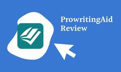 Prowritingaid review